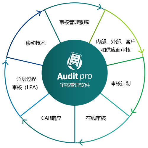 Audit Pro Management Software